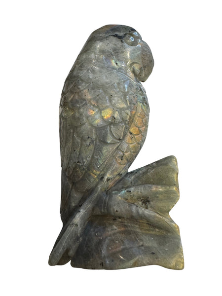 Labradorite Crystal Parrot Carving 317gm - Intuitively selected